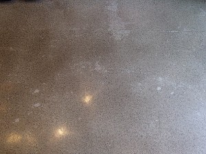 剥離清掃前の床面(１)
