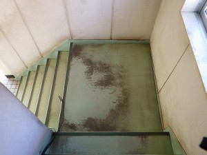 階段の清掃(6)